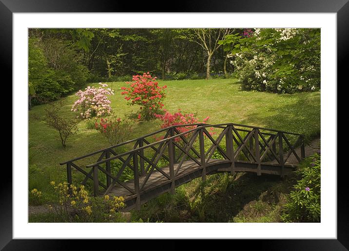 Armadale gardens Framed Mounted Print by Thomas Schaeffer