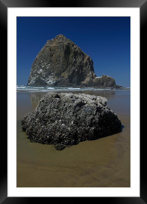 Cannon Beach Framed Mounted Print by Thomas Schaeffer