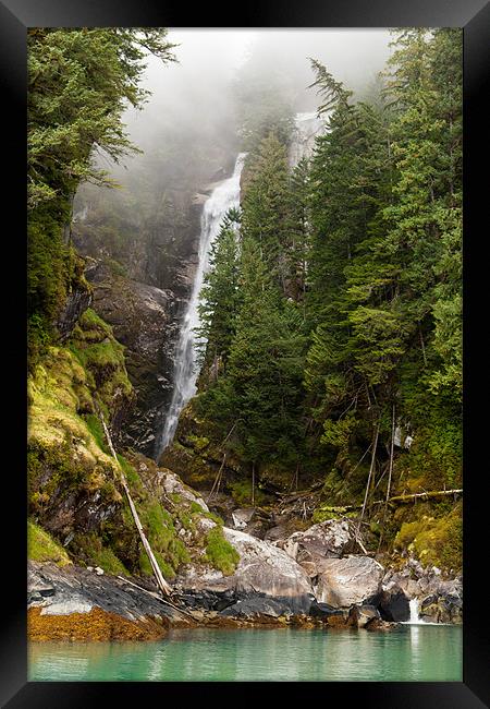 Waterfall in Knight Inlet Framed Print by Thomas Schaeffer