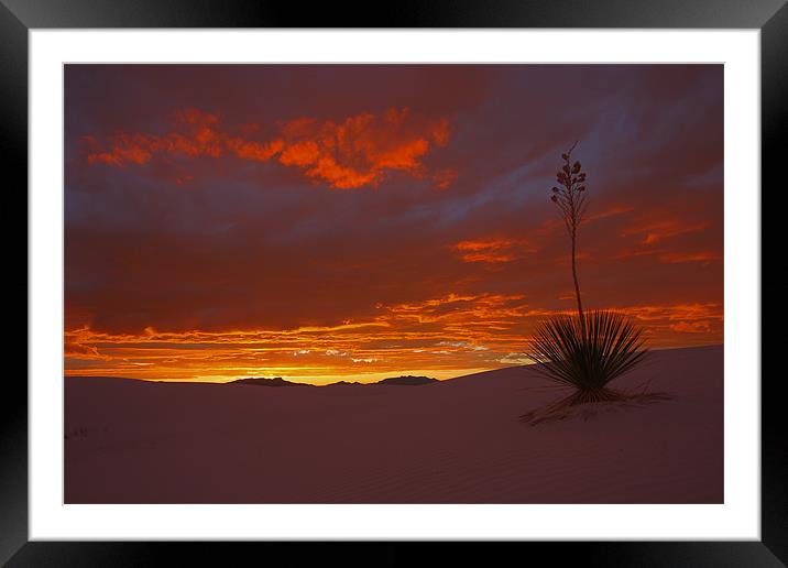 White Sands Sunset  Framed Mounted Print by Thomas Schaeffer