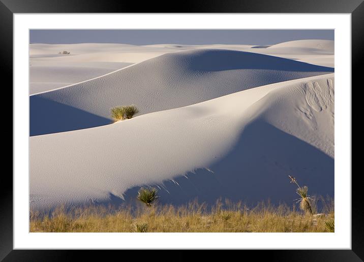White Sands  Framed Mounted Print by Thomas Schaeffer