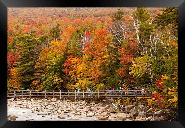 Fall colors at the Highway Framed Print by Thomas Schaeffer