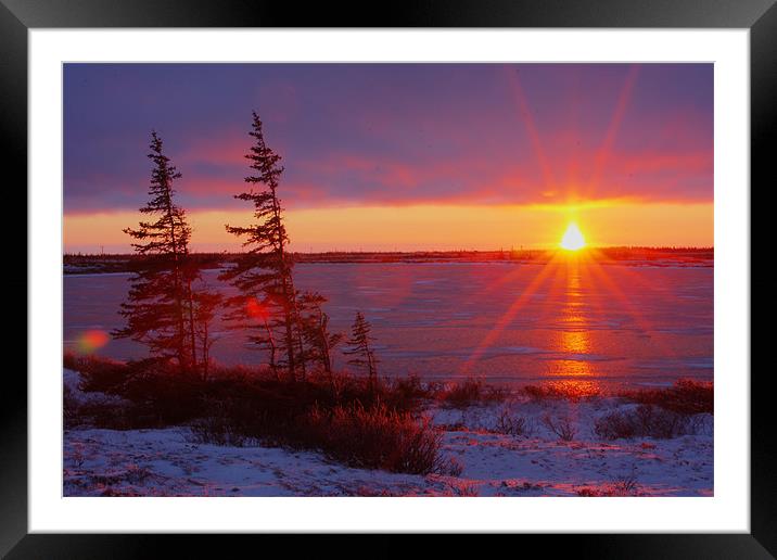 Arctic Sunset II  Framed Mounted Print by Thomas Schaeffer