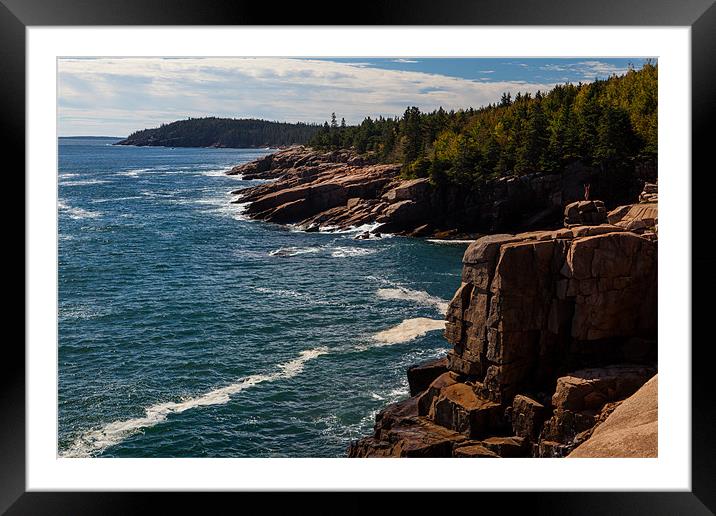 Acadia coast Framed Mounted Print by Thomas Schaeffer