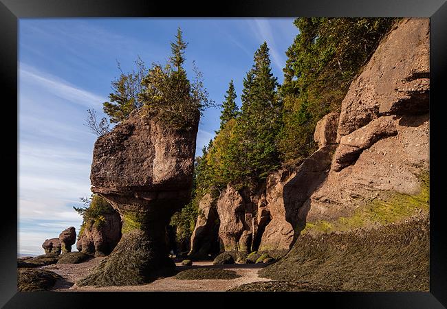 Hopewell Rocks Framed Print by Thomas Schaeffer