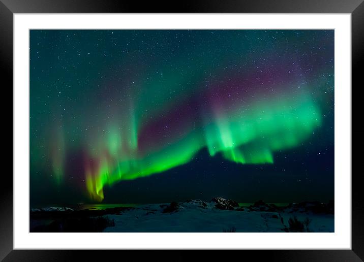 Northern lights over Laukvik Framed Mounted Print by Thomas Schaeffer