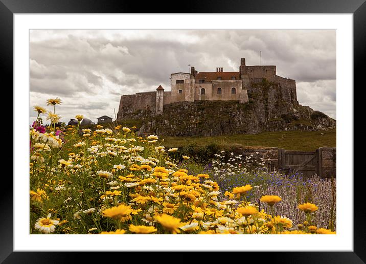 Lindisfarne Castle on Holy Island Framed Mounted Print by Thomas Schaeffer