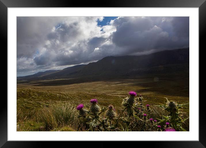 Moody morning Framed Mounted Print by Thomas Schaeffer