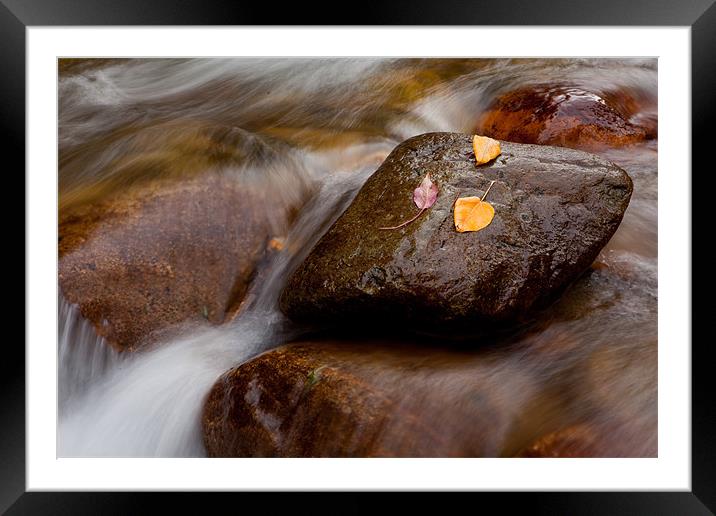 Waterfallin autumn colors Framed Mounted Print by Thomas Schaeffer