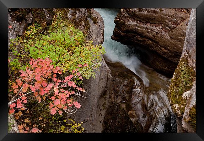 Maligne Canyon Framed Print by Thomas Schaeffer