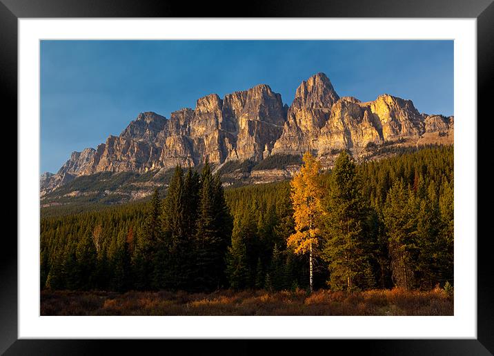 Bow Valley Parkway Framed Mounted Print by Thomas Schaeffer