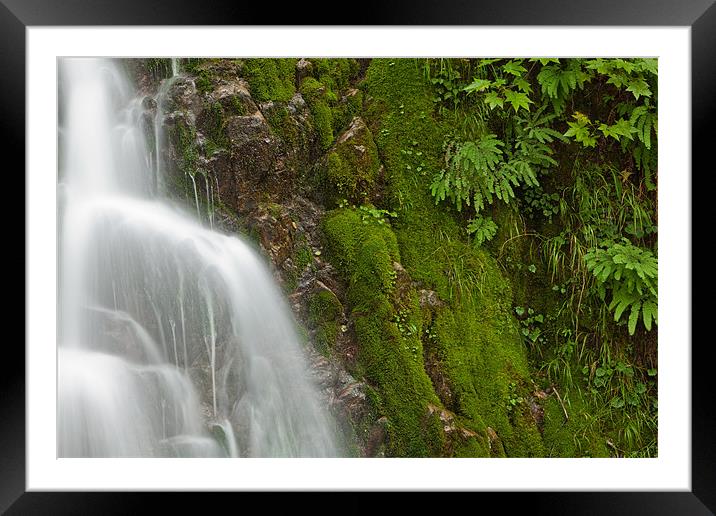 Mossy waterfall Framed Mounted Print by Thomas Schaeffer