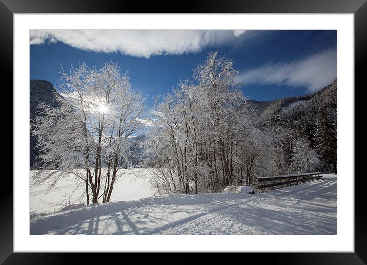 Winter in the alps Framed Mounted Print by Thomas Schaeffer