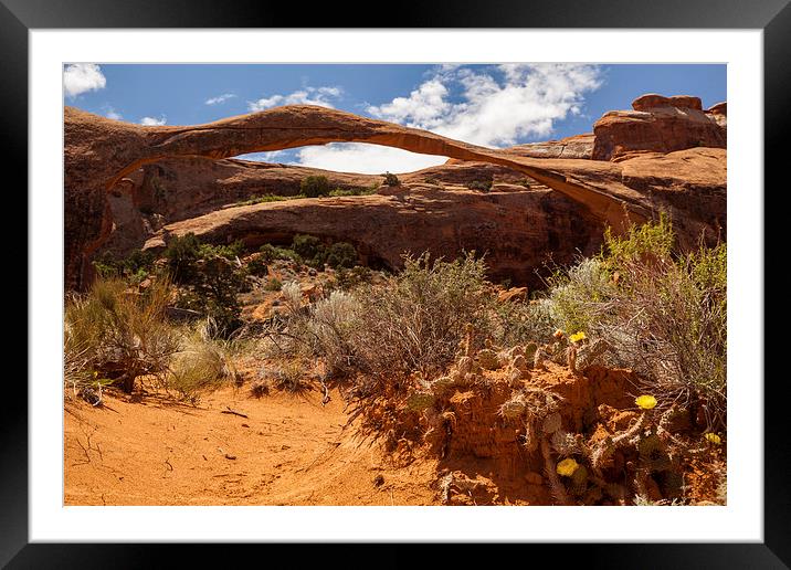 Landscape Arch Framed Mounted Print by Thomas Schaeffer