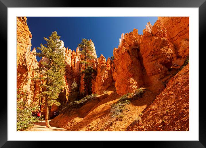 Navajo Loop & Queens Garden Trail Framed Mounted Print by Thomas Schaeffer