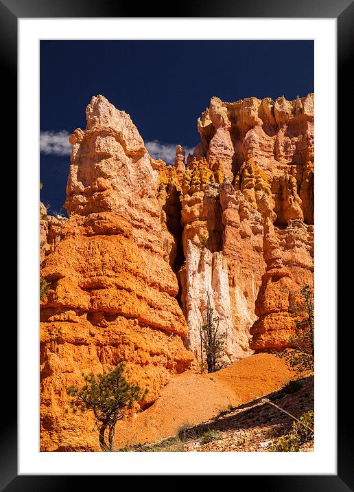 Navajo Loop & Queens Garden Trail Framed Mounted Print by Thomas Schaeffer