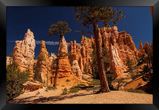 Navajo Loop & Queens Garden Trail Framed Print by Thomas Schaeffer