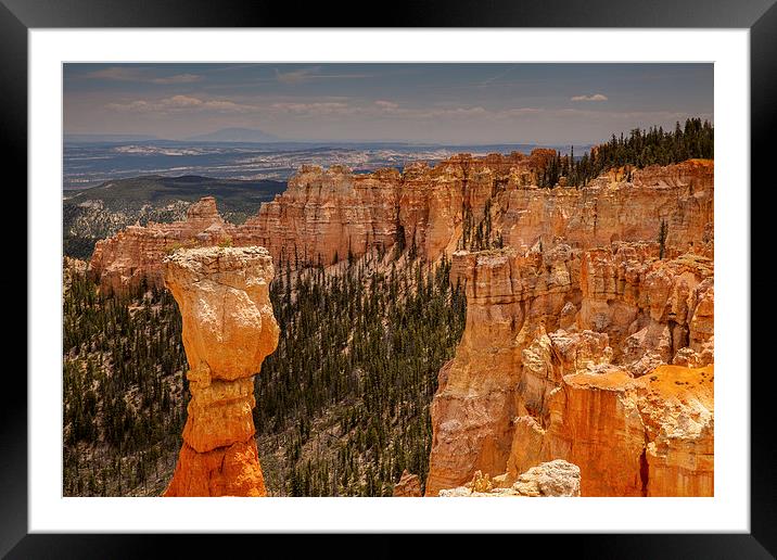 Agua Canyon Framed Mounted Print by Thomas Schaeffer