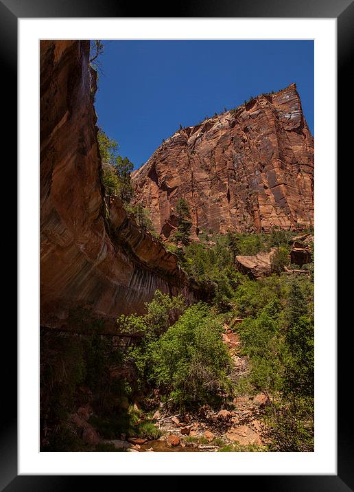 Hike to the Emerald Pool Framed Mounted Print by Thomas Schaeffer