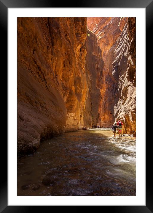 The Narrows, Zion NP Framed Mounted Print by Thomas Schaeffer