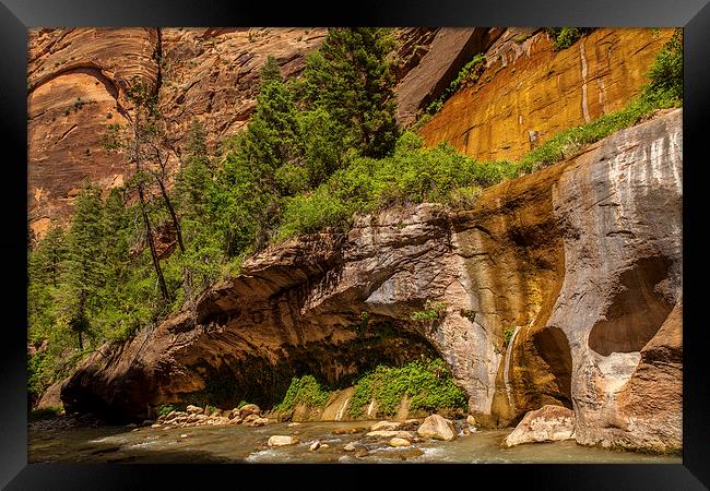 The Narrows, Zion NP Framed Print by Thomas Schaeffer