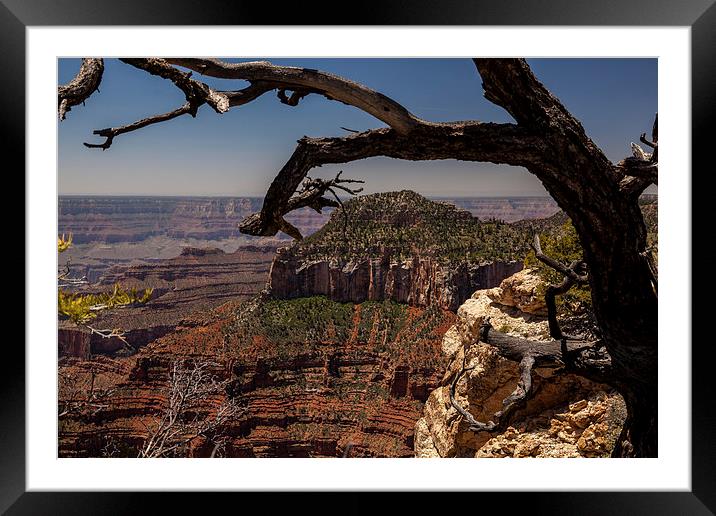 North Rim at Bright Angel Point Framed Mounted Print by Thomas Schaeffer
