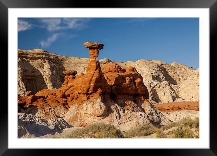 Toadstools Framed Mounted Print by Thomas Schaeffer