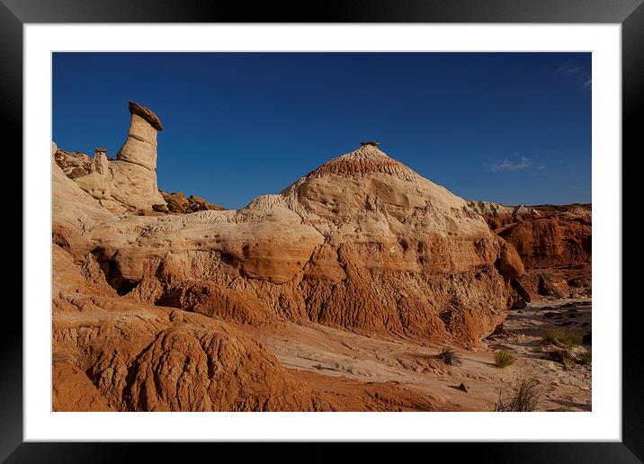 Toadstools Framed Mounted Print by Thomas Schaeffer