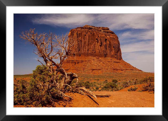 Monument Valley Framed Mounted Print by Thomas Schaeffer