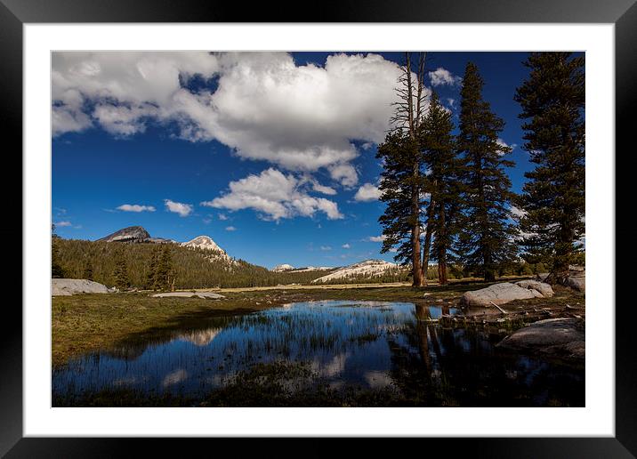 Tioga Road, Yosemite NP Framed Mounted Print by Thomas Schaeffer