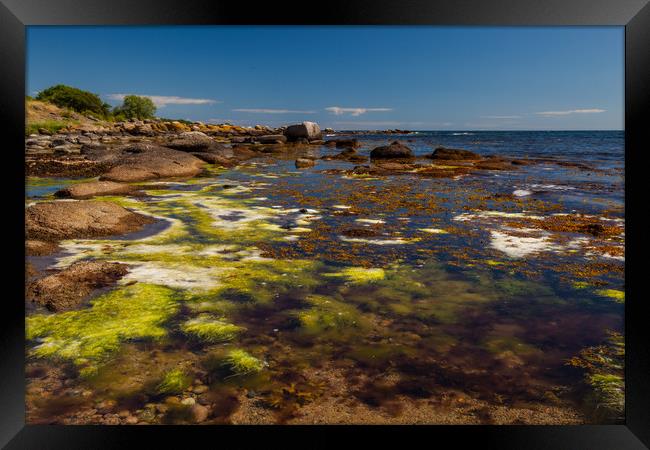 Bornholm Beach Framed Print by Thomas Schaeffer