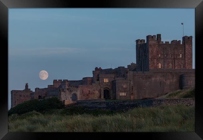 Bamburgh Castle Framed Print by Thomas Schaeffer