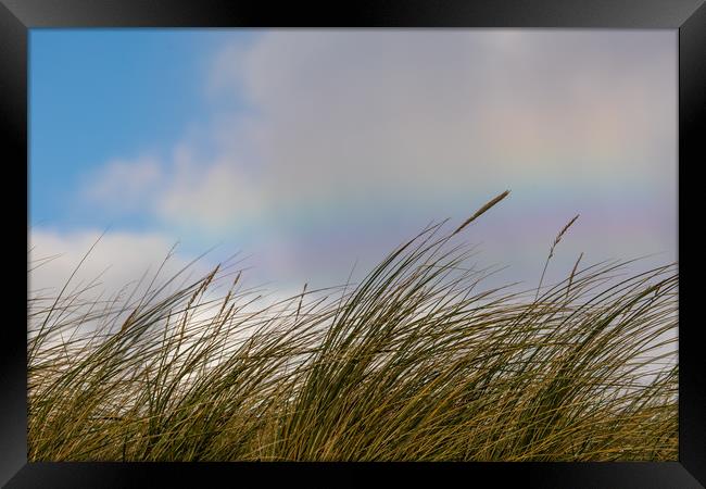 Rainbow dunes Framed Print by Thomas Schaeffer