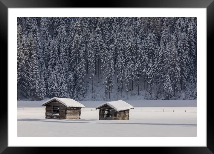 Austrian winter Framed Mounted Print by Thomas Schaeffer