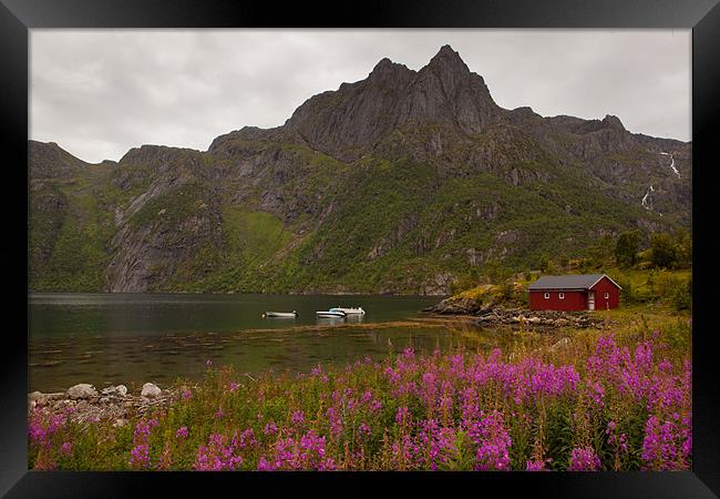 Hütte am Fjord Framed Print by Thomas Schaeffer