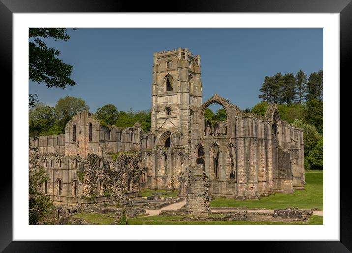 Fountains Abbey Framed Mounted Print by Thomas Schaeffer