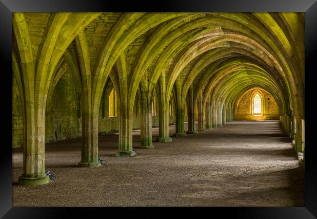 Fountains Abbey Framed Print by Thomas Schaeffer