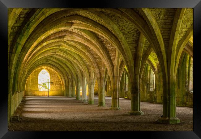 Fountains Abbey Framed Print by Thomas Schaeffer