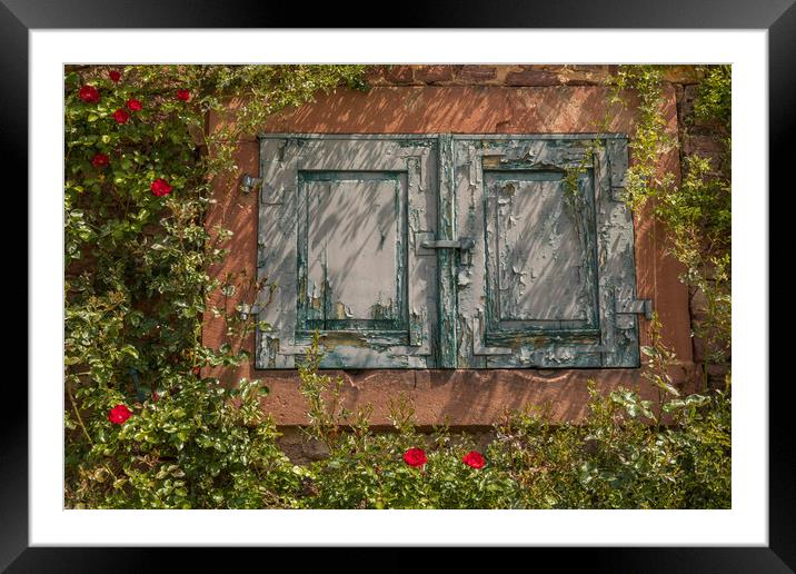 Ancient windows Framed Mounted Print by Thomas Schaeffer