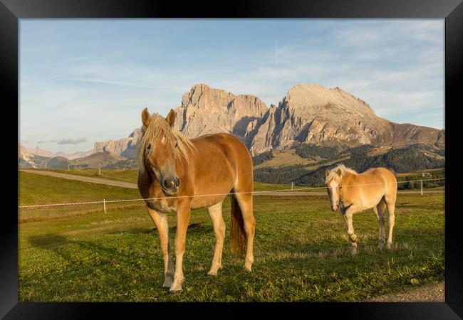 Sunset @ Alpe di Siusi Framed Print by Thomas Schaeffer