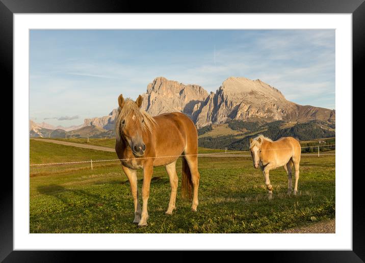 Sunset @ Alpe di Siusi Framed Mounted Print by Thomas Schaeffer