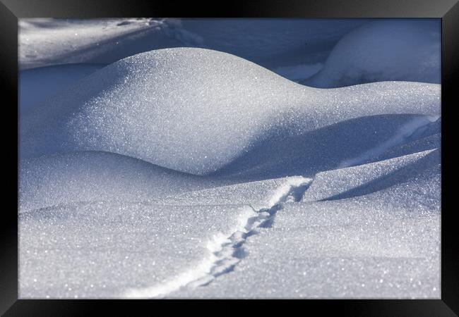 snow shadow Framed Print by Thomas Schaeffer