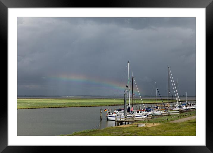 Rainbow harbour Framed Mounted Print by Thomas Schaeffer