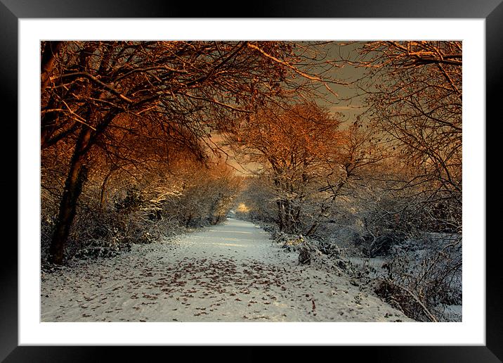 Winter Colour Framed Mounted Print by pauline morris