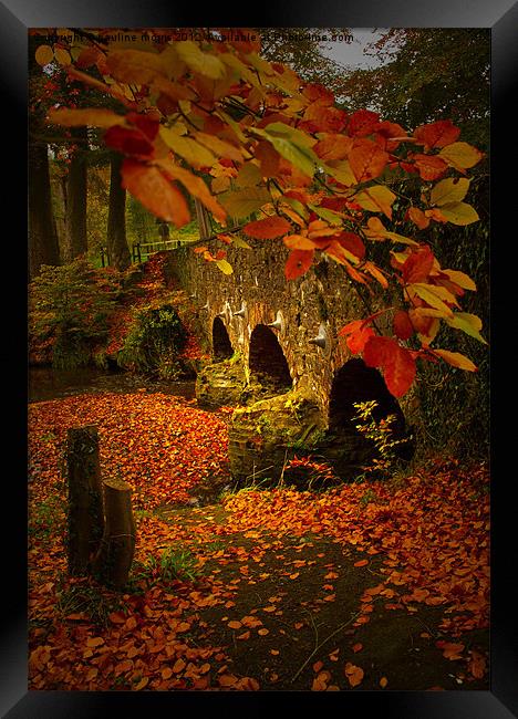 The colours of Autumn Framed Print by pauline morris