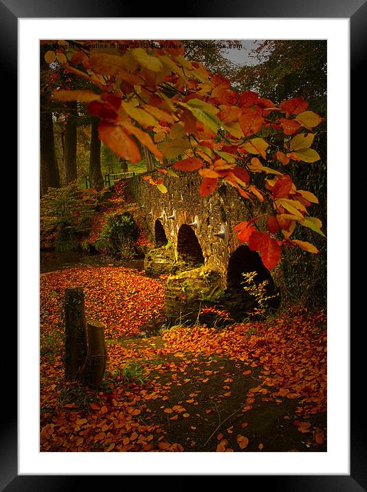The colours of Autumn Framed Mounted Print by pauline morris