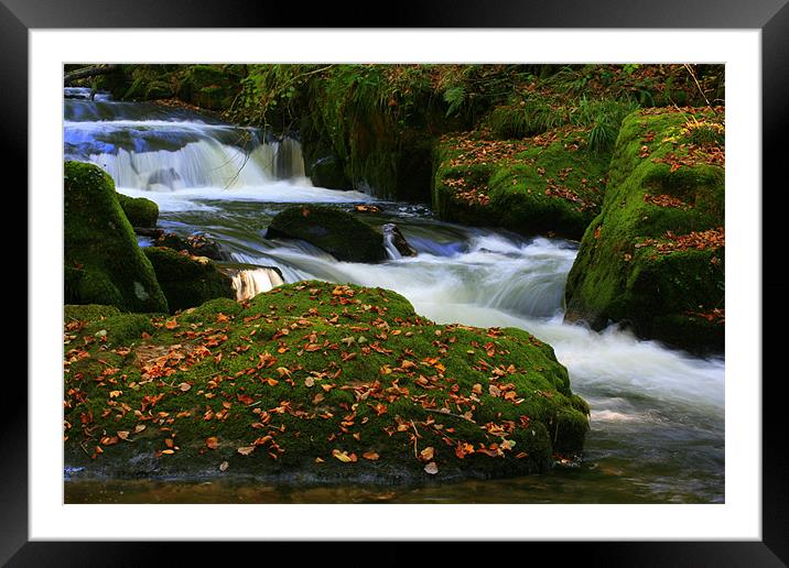 Autumn Light at the Falls Framed Mounted Print by pauline morris