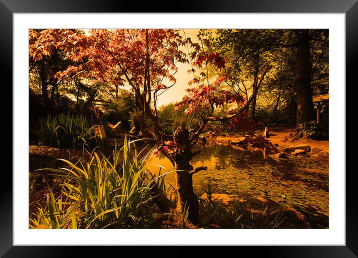 Pond View at the Japanese Gardens Framed Mounted Print by pauline morris
