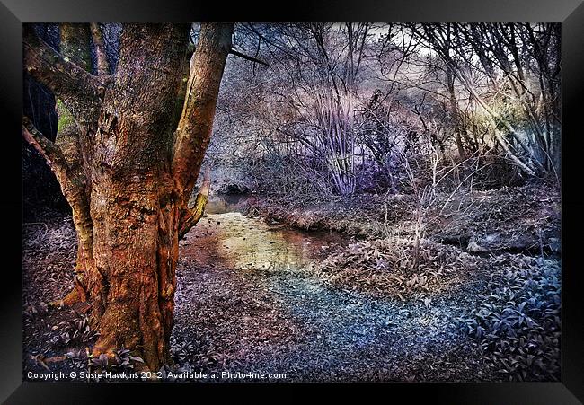 Painted Forest. Framed Print by Susie Hawkins