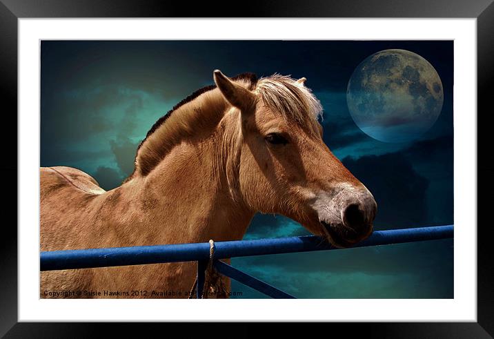 Midnight Mare Framed Mounted Print by Susie Hawkins